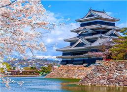 Tour Du Lịch Nhật Bản Mùa Hoa Anh Đào 2024